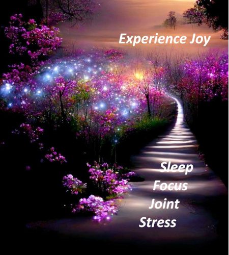 experience joy 450w x 500h